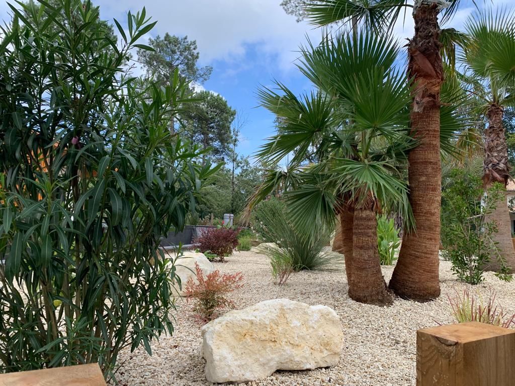 Massif minéral et plantes dites à Cazaux