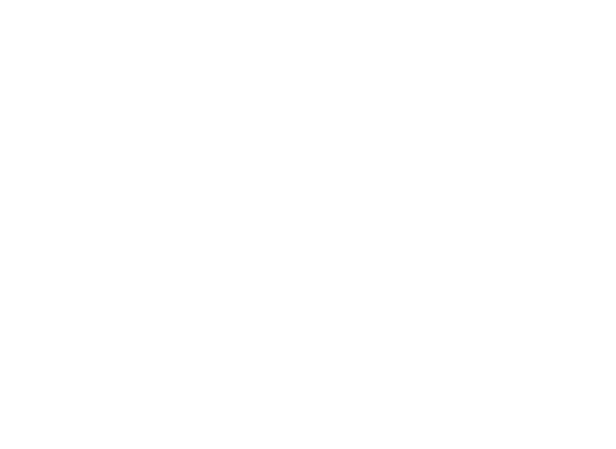 Casa Hotels Inc-logo