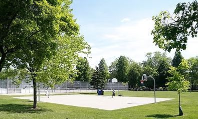Basketball court in a park, surrounded by trees and grass, with a person playing.