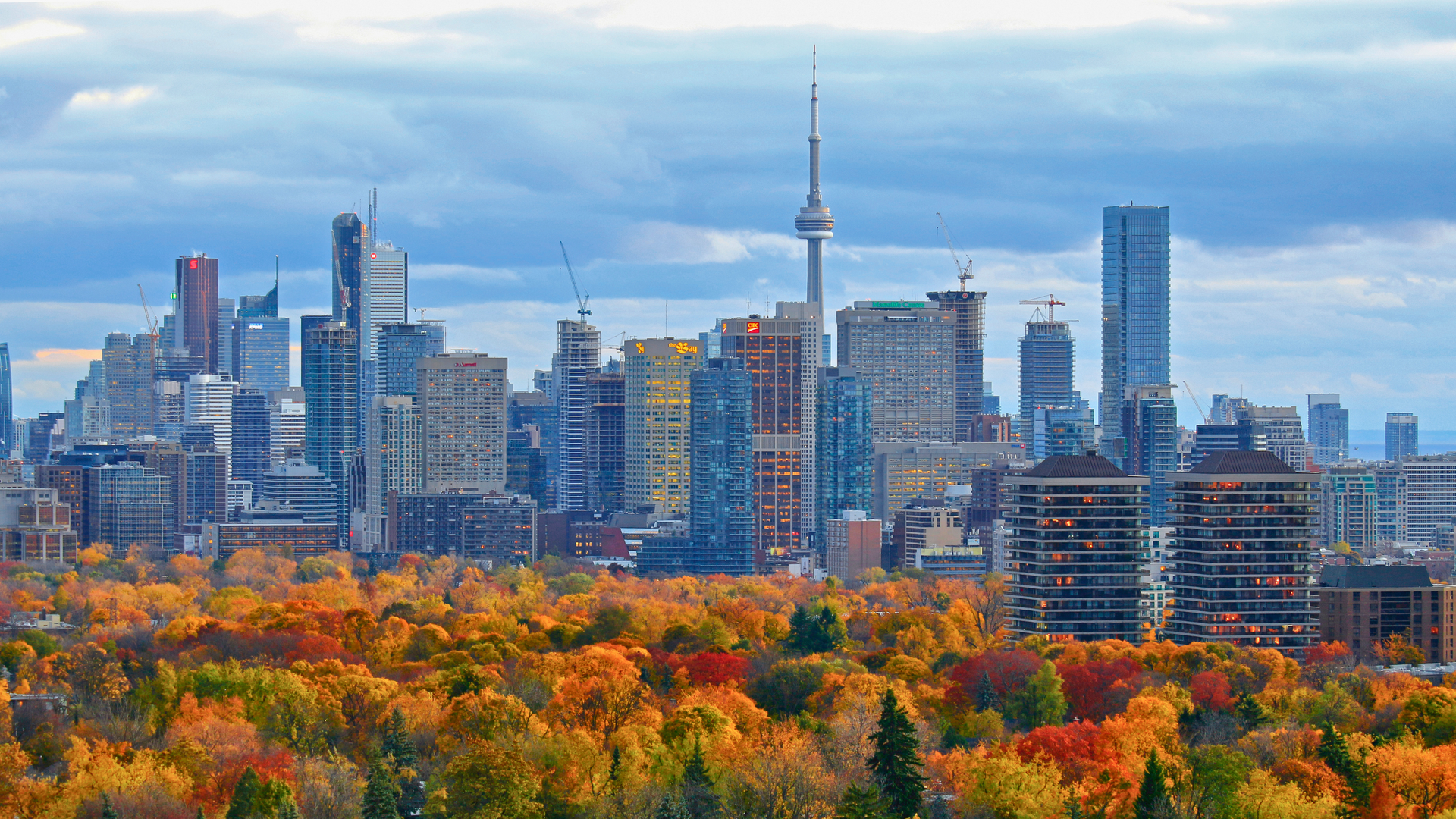Toronto skyline with CN Tower above autumn trees and colorful city buildings
