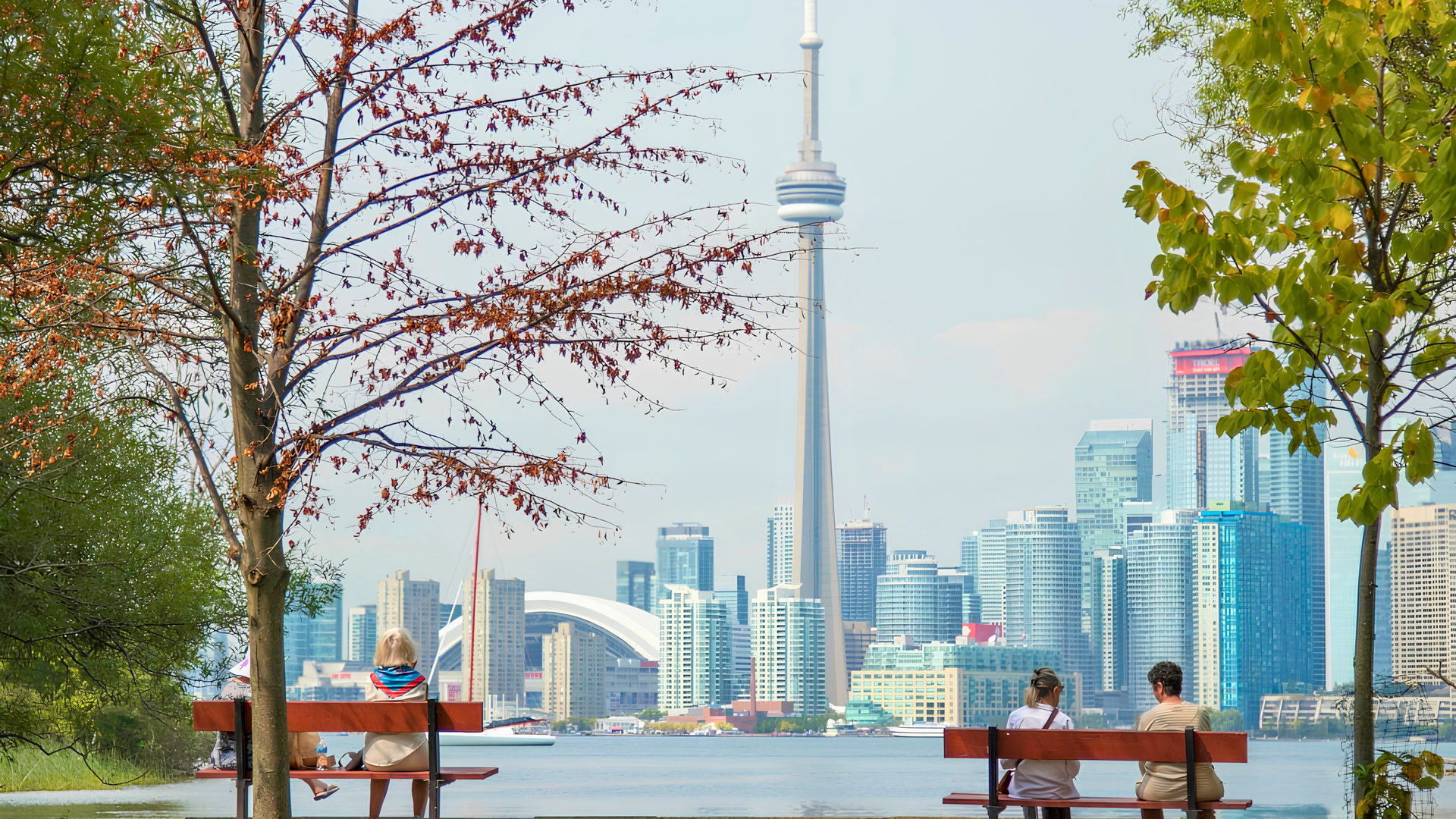 Skyline view with the CN Tower beyond a waterfront park, framed by autumn trees and benches with people sitting.