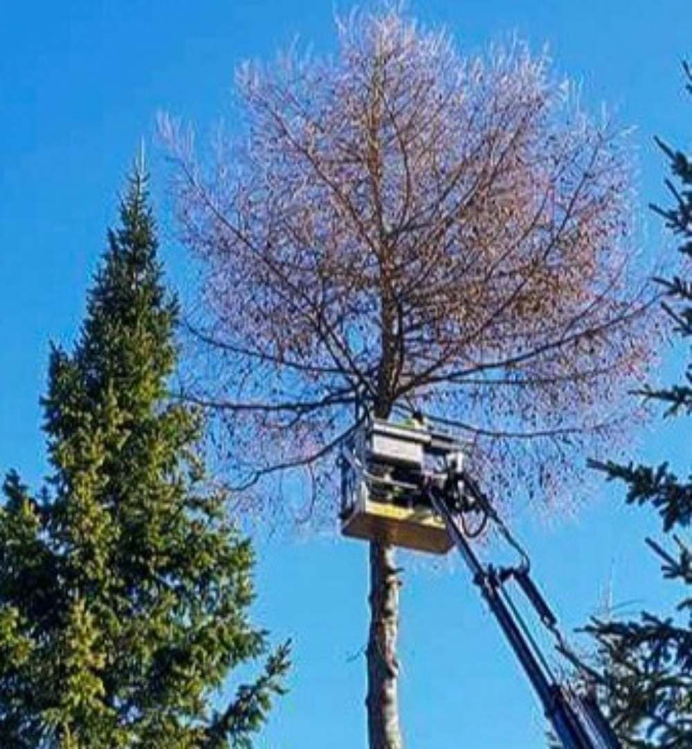 Koneurakointi Pykälistö