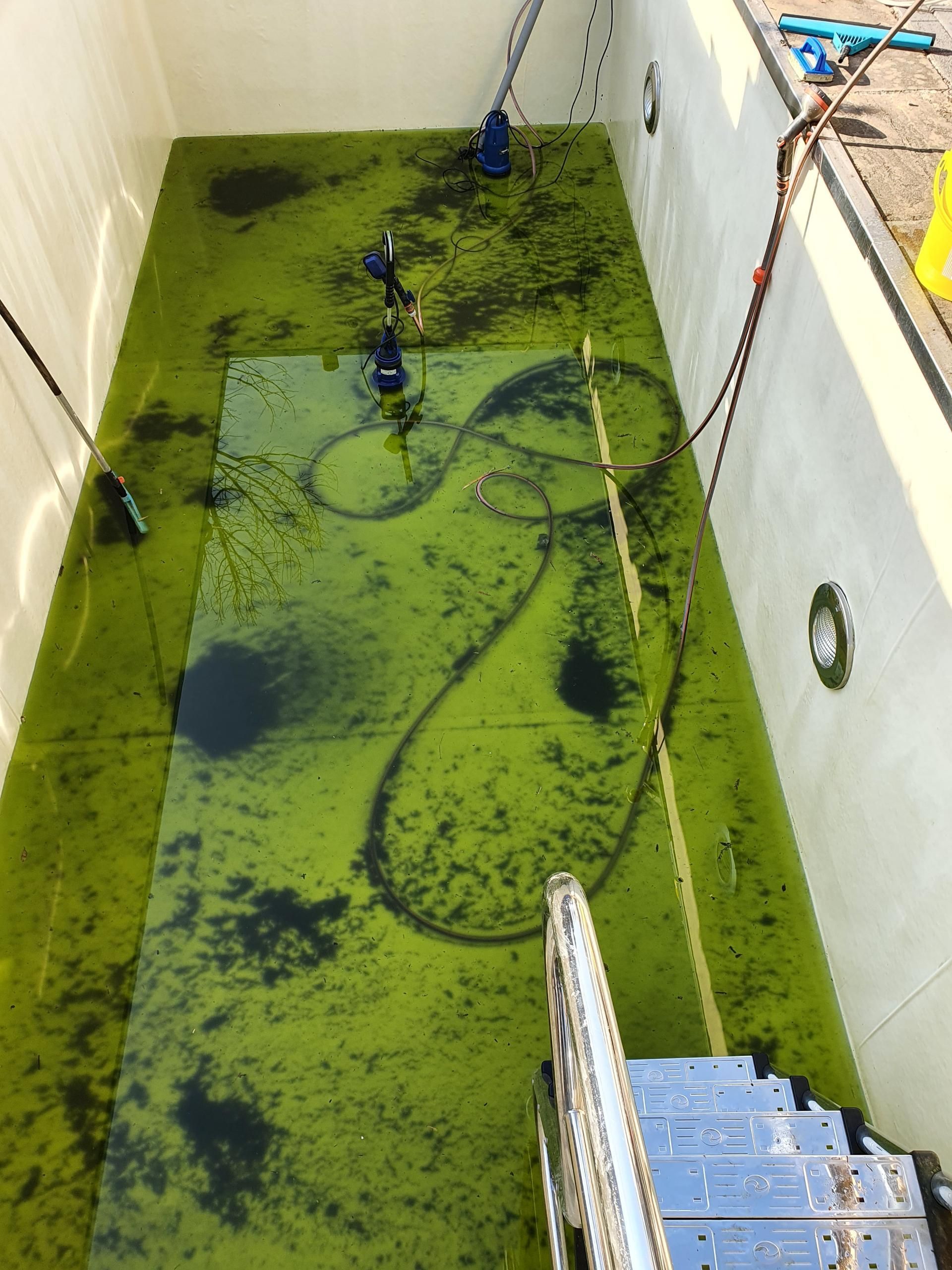 Ein rechteckiges Becken mit grünen Algen und dunklen Flecken; eine Leiter führt hinunter in das Becken.