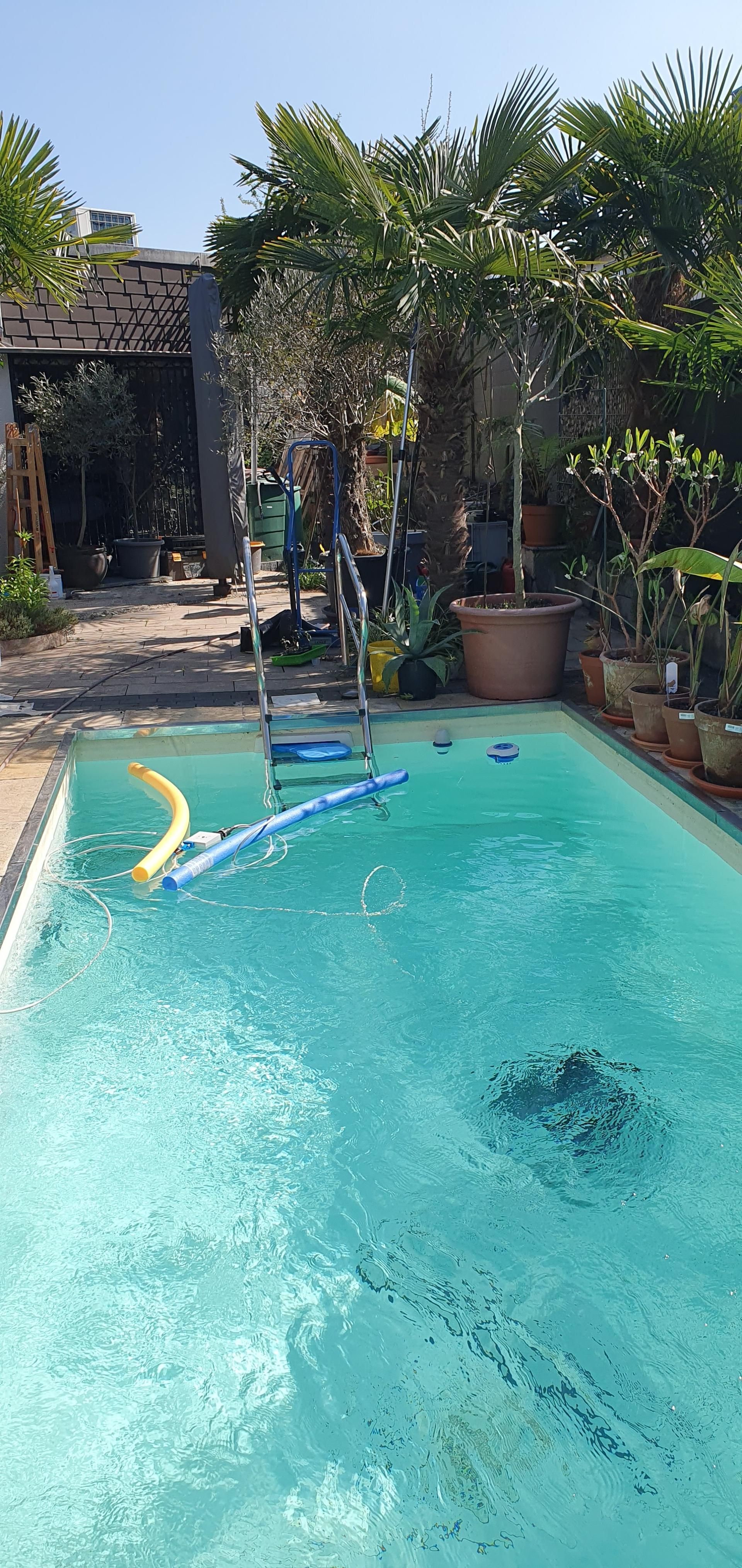 Poolzubehör wird in Regalen und Kisten in einem Einzelhandelsgeschäft ausgestellt, darunter Poolroboter und Chemikalien.