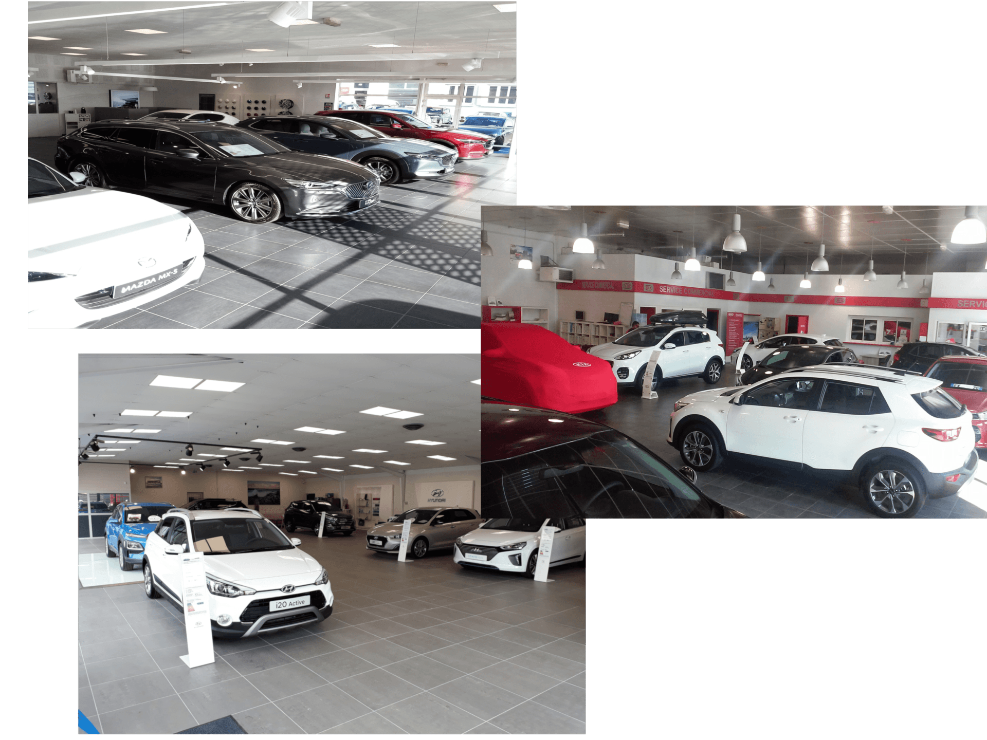 Showroom de voitures