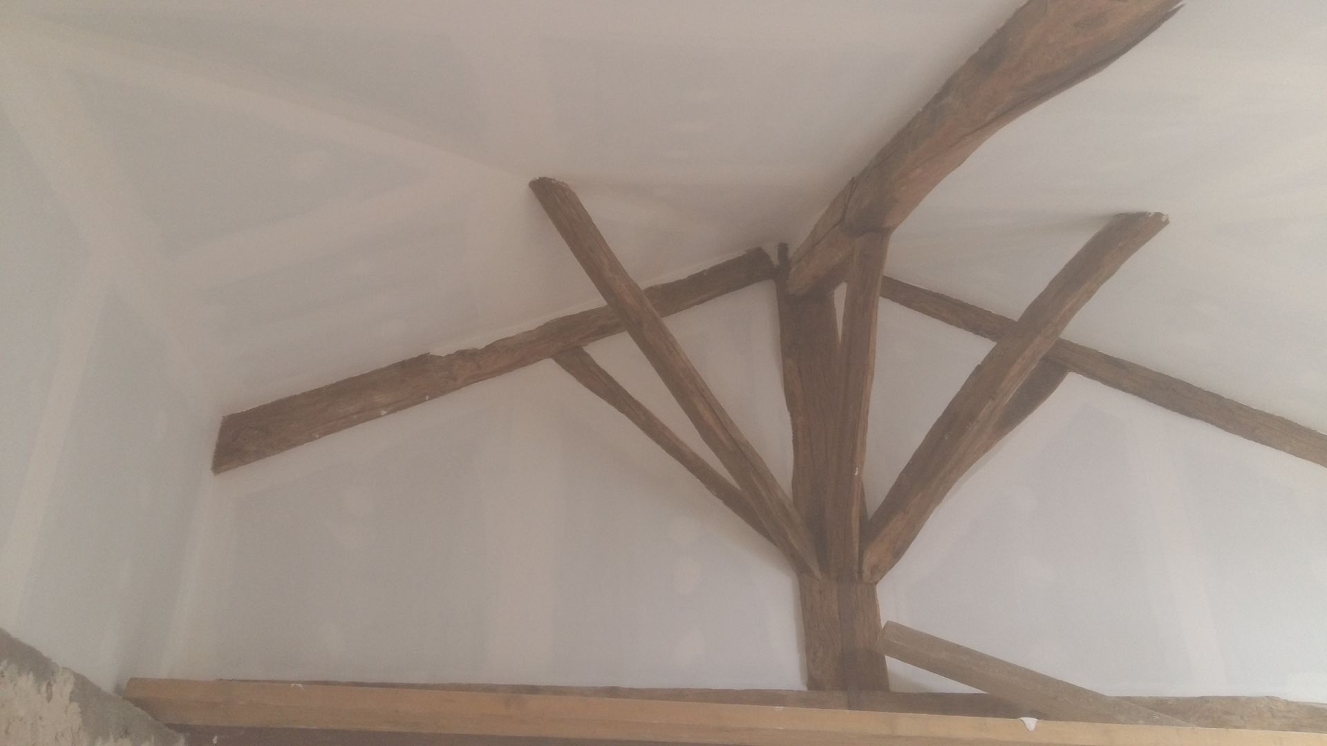 Gros plan sur une charpente en bois clair