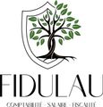 Fidulau Salzmann Logo