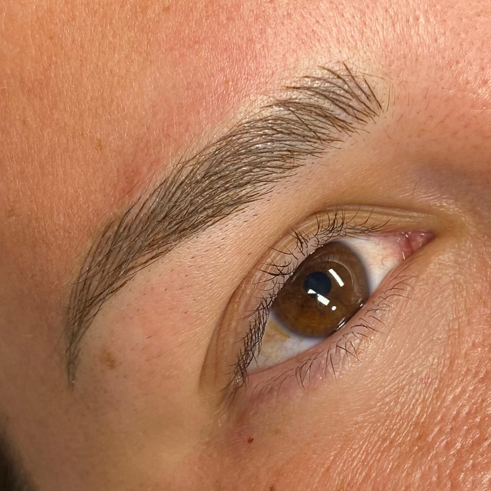 Un primer plano del ojo y las cejas de una mujer.