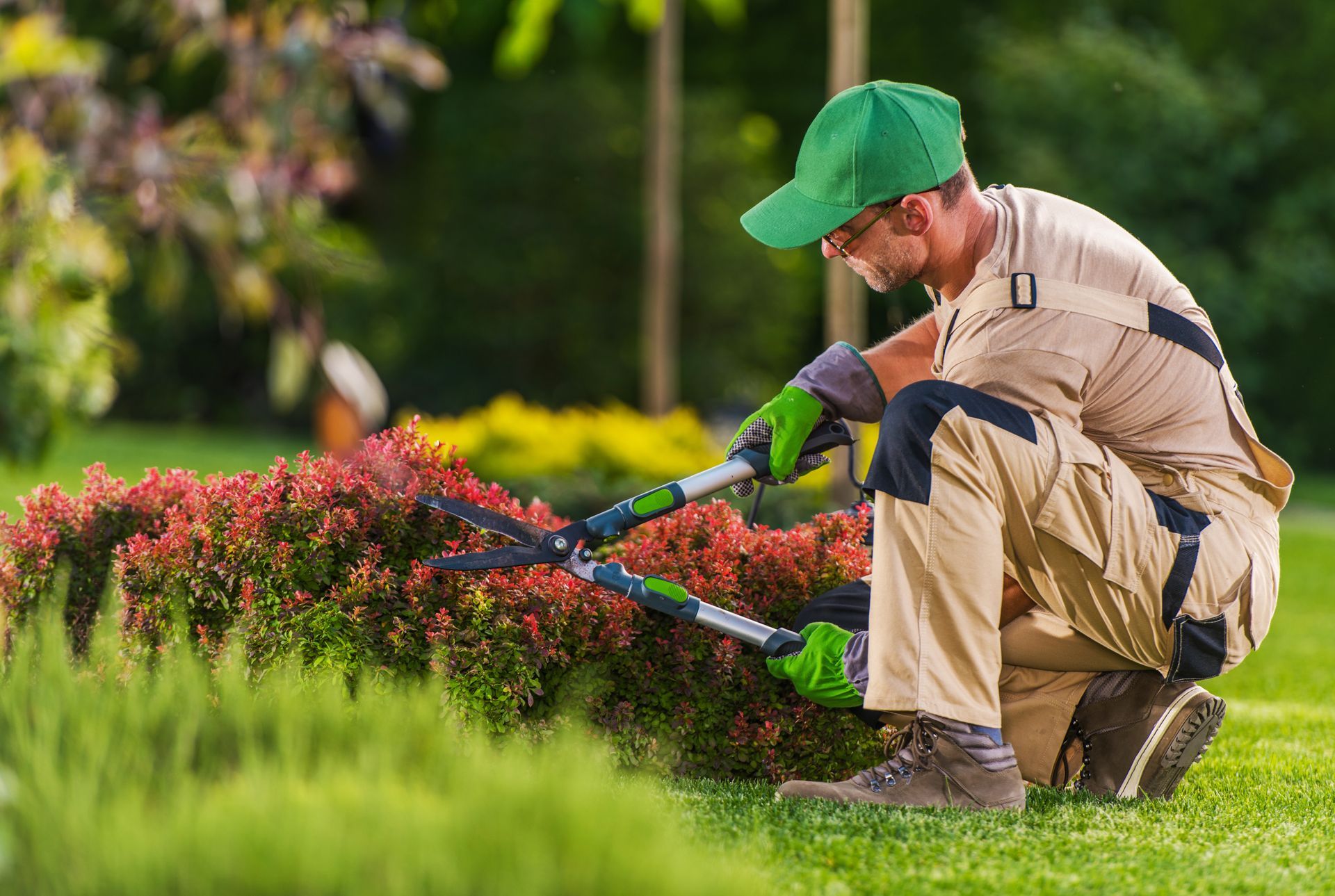 Dans un jardin herbeux, une personne coiffée d'une casquette verte et vêtue d'un uniforme beige taille un buisson bas et rougeâtre à l'aide de grands cisailles.