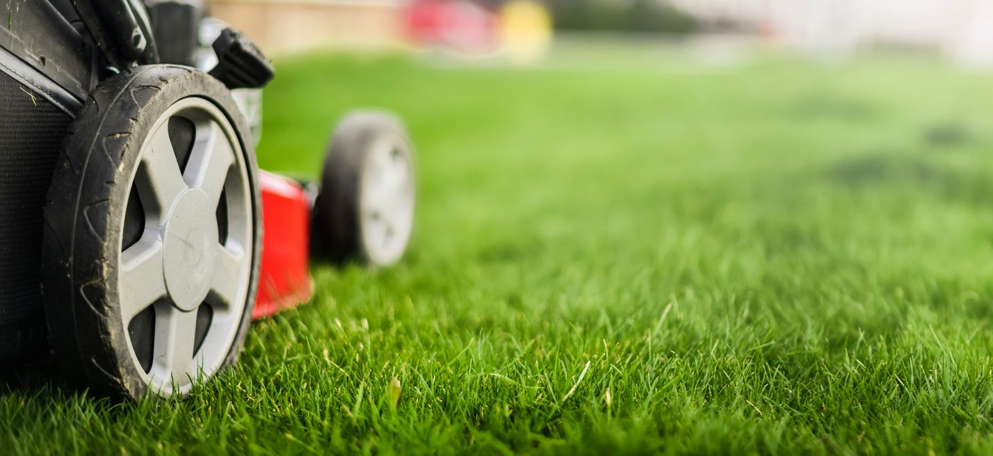 Gros plan sur une roue de tondeuse rouge sur une pelouse d'un vert luxuriant, l'herbe floue s'étendant à l'arrière-plan.