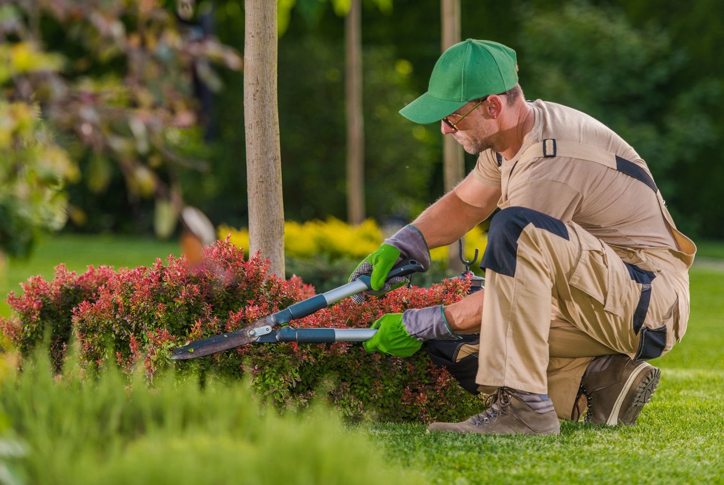 Une personne vêtue d'une tenue de travail, d'une casquette et de gants, est agenouillée dans un parc et taille un buisson bas avec de grands cisailles de jardin.