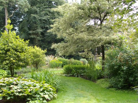 Par une belle journée ensoleillée, un sentier de jardin verdoyant serpente entre arbres, arbustes et un parterre d'hostas.