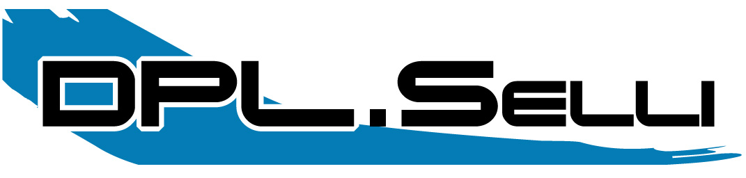 Logo de l'entreprise DPL Selli