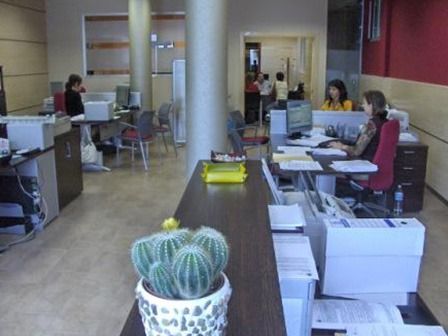 Oficina con varias personas trabajando en escritorios y un cactus en primer plano.