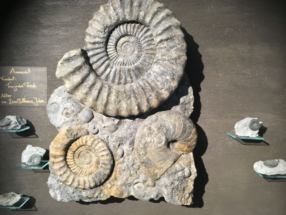 Malergeschäft Farbklaenge Bühlmann GmbH