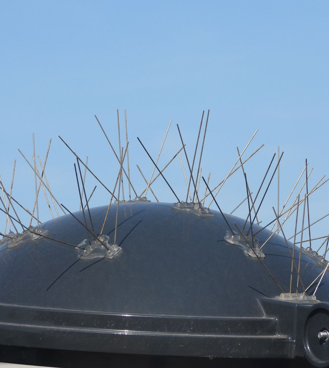 Dôme noir avec des pics d'oiseaux sous un ciel bleu.
