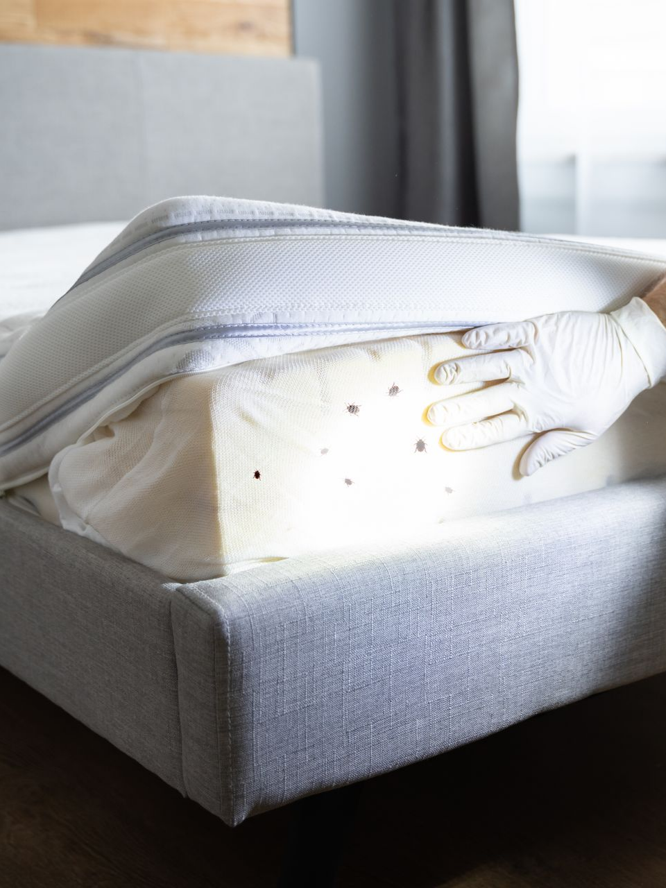 Une main gantée qui soulève un matelas