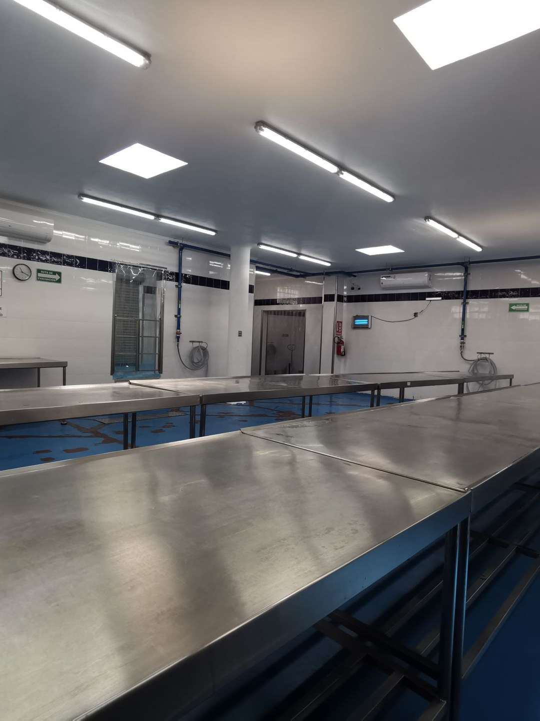 Une cuisine professionnelle après une desinfection