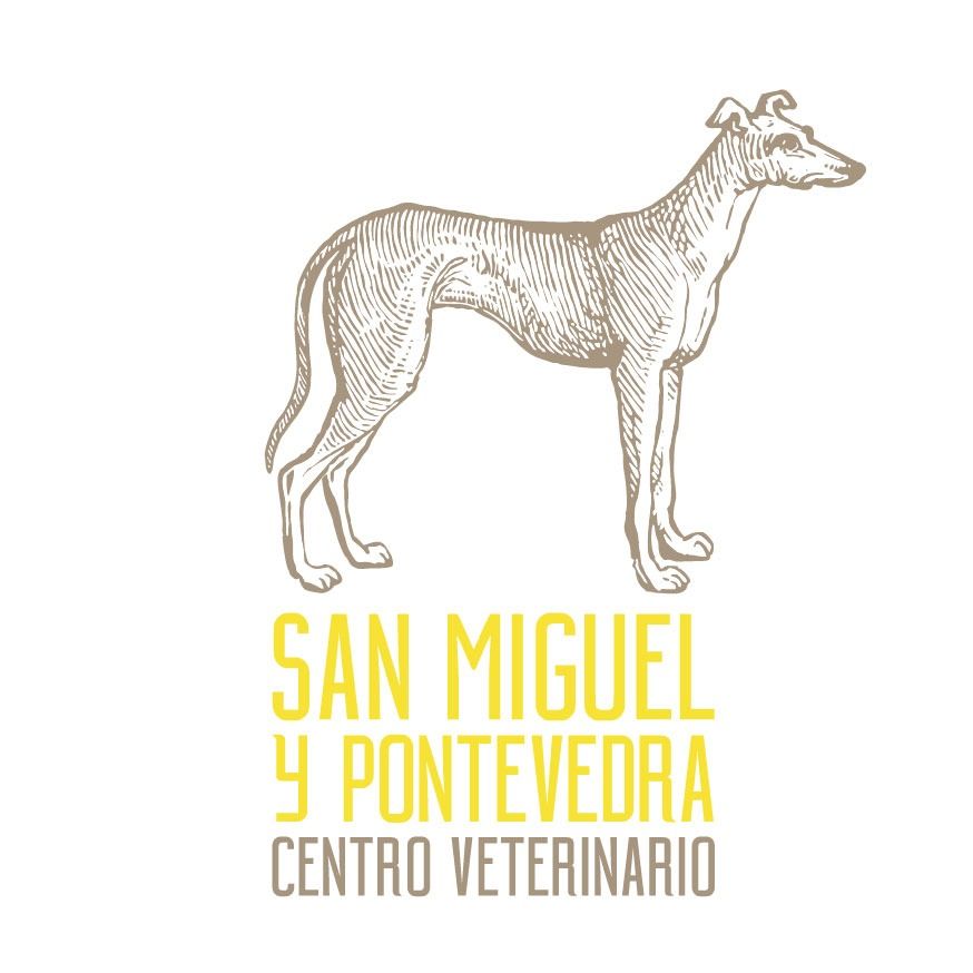 Logotipo para Pontevedra Centro Veterinario: un perro a cada lado del texto en amarillo y gris.