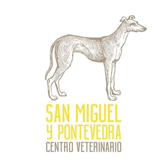Logotipo para Pontevedra Centro Veterinario: un perro a cada lado del texto en amarillo y gris.