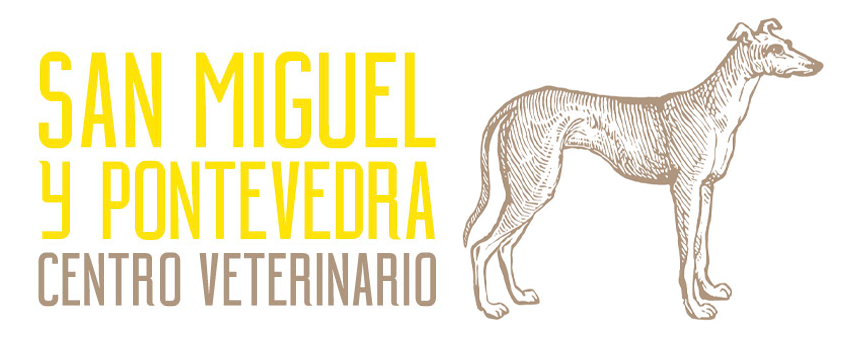 Logotipo para Pontevedra Centro Veterinario: un perro a cada lado del texto en amarillo y gris.