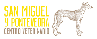 Logotipo para Pontevedra Centro Veterinario: un perro a cada lado del texto en amarillo y gris.