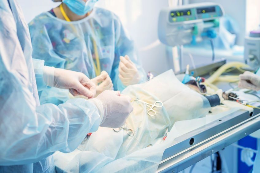 Veterinarios con uniforme quirúrgico operan a un perro y utilizan herramientas quirúrgicas en un quirófano estéril.