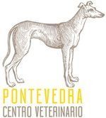 Ilustración de perro galgo sobre texto amarillo 