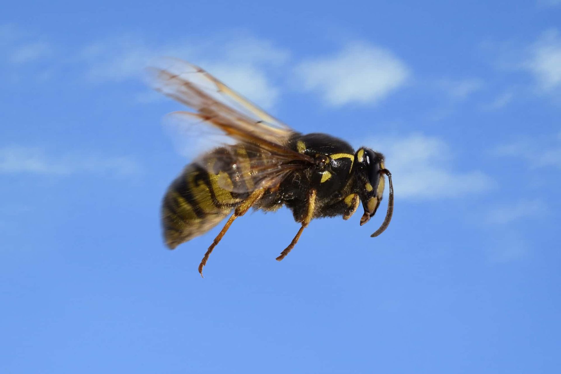 Allero Sàrl Dr méd. Roland Oppliger - Allergologue | Nyon