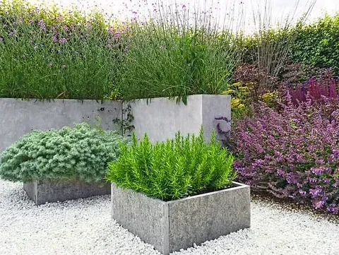 Un jardín lleno de muchas plantas y flores.
