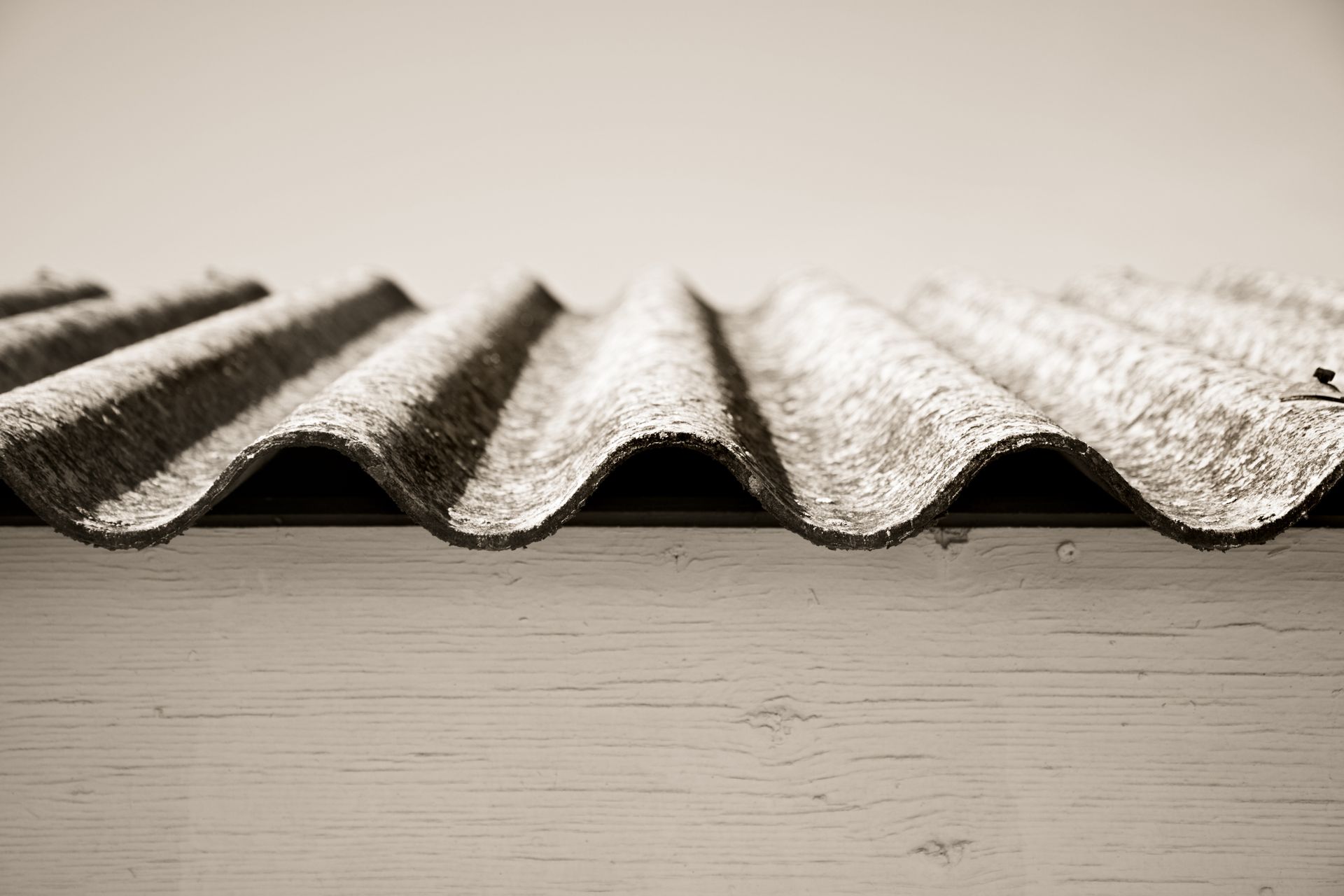 Toiture en tôle ondulée, tons sépia, reposant sur une structure en bois blanc.