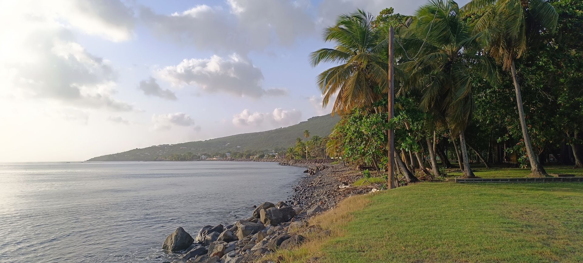 Paysage côtier avec palmiers, herbe verte, rivage rocheux et montagne en arrière-plan sous un ciel nuageux.