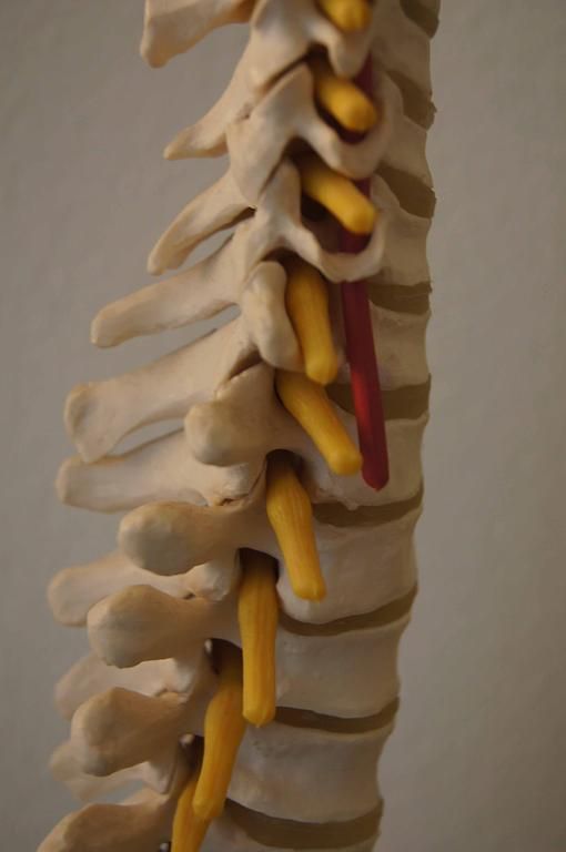 Praxis Malzgasse - Basel