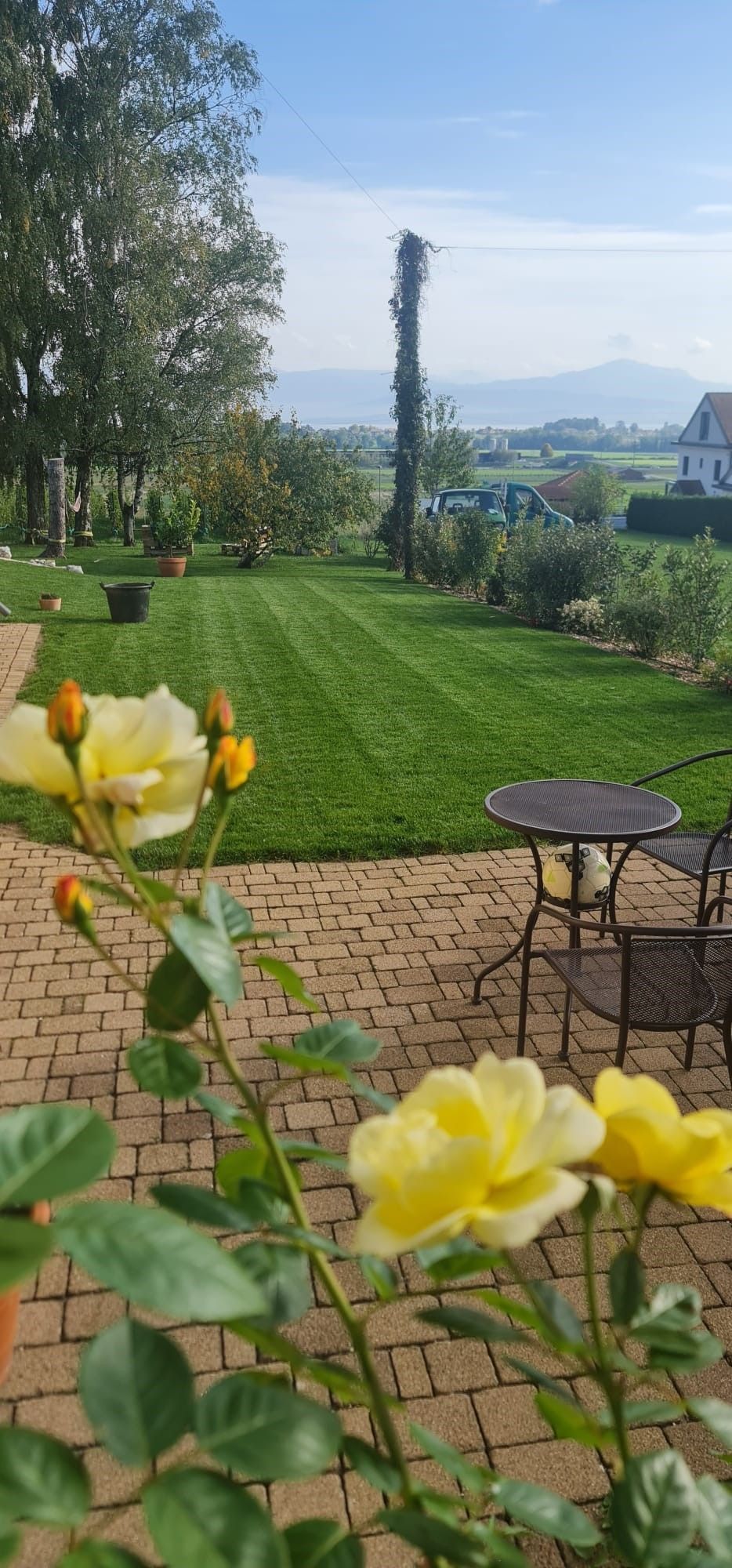 FF Jardins Sàrl - Jardinage, paysagisme - Gland