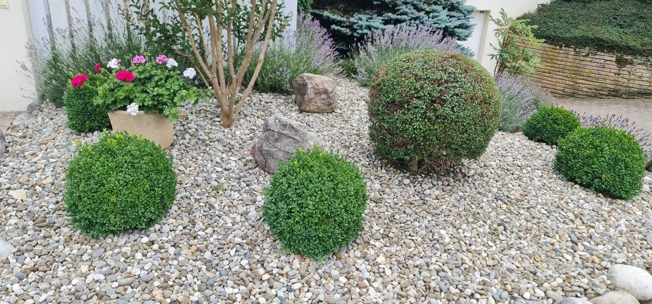 FF Jardins Sàrl - Jardinage, paysagisme - Gland