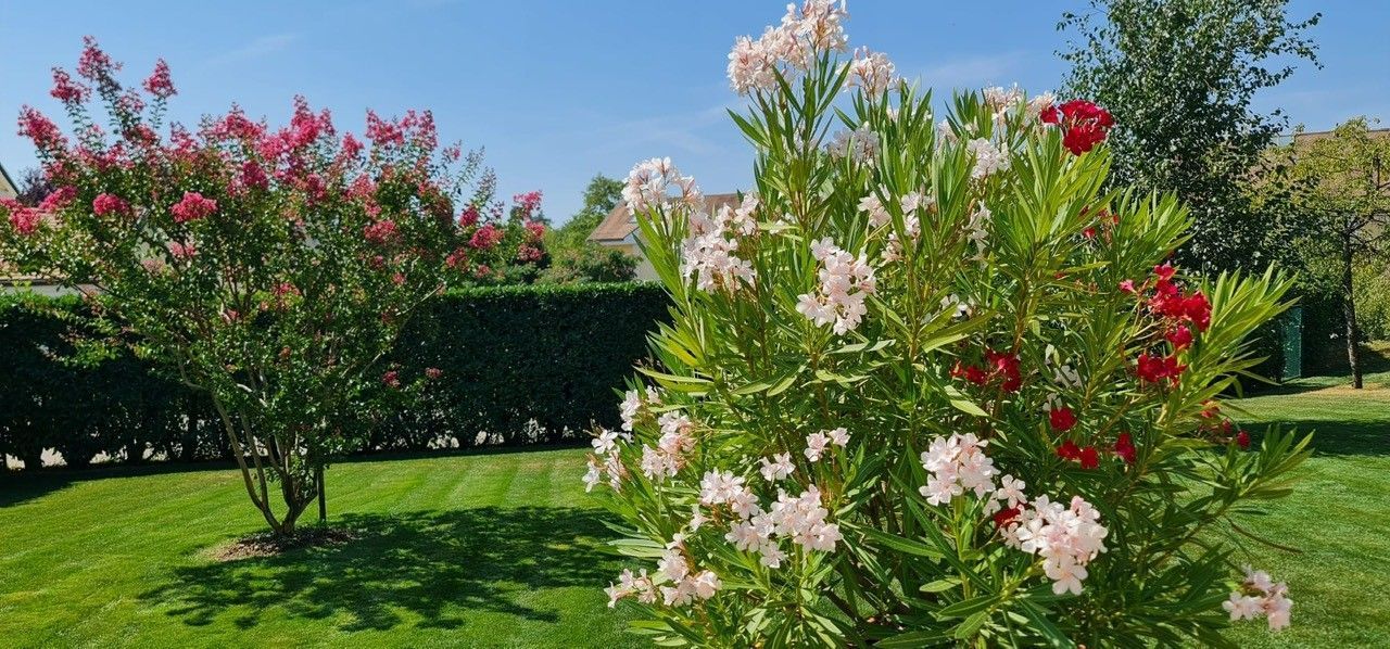 FF Jardins Sàrl - Jardinage, paysagisme - Gland