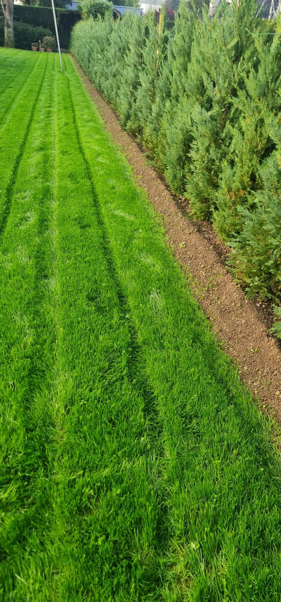 FF Jardins Sàrl - Jardinage, paysagisme - Gland