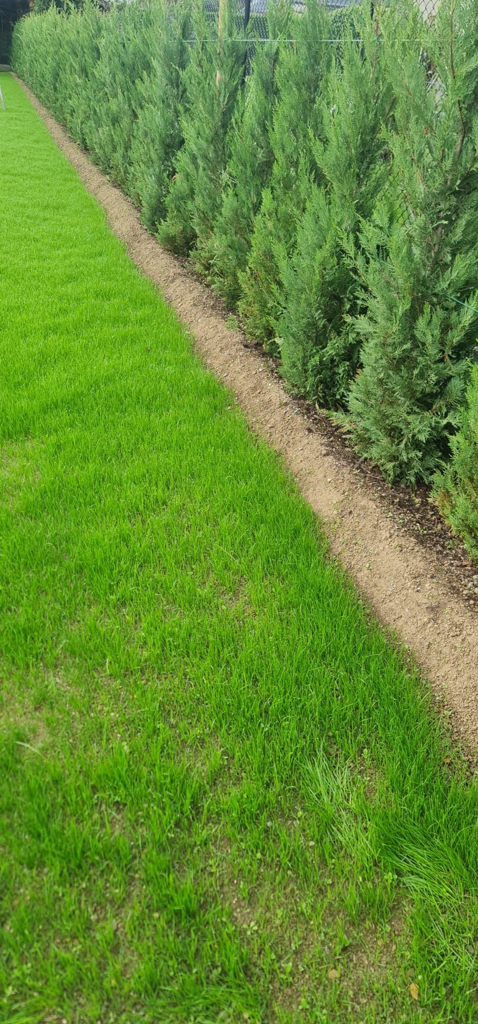 FF Jardins Sàrl - Jardinage, paysagisme - Gland