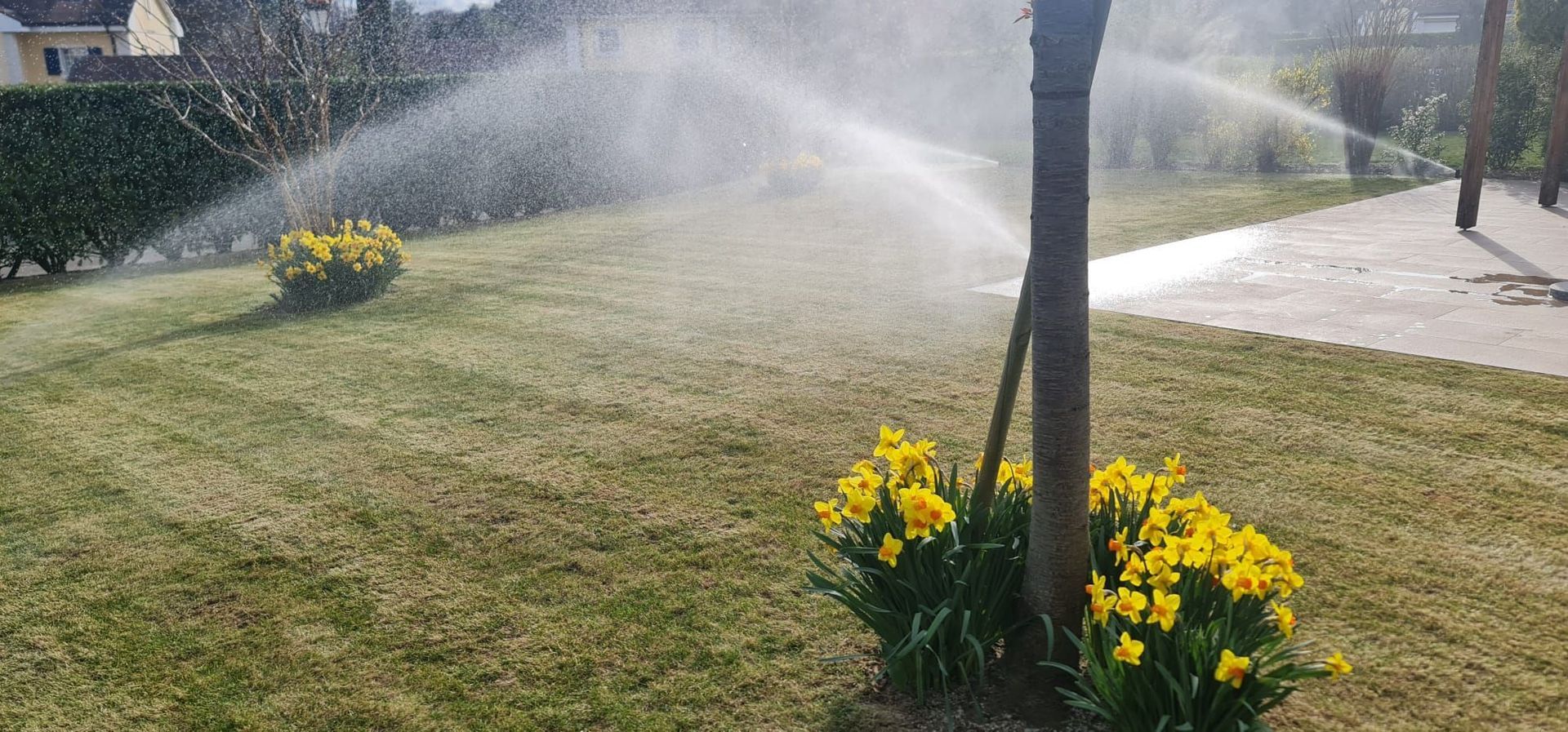 FF Jardins Sàrl - Jardinage, paysagisme - Gland