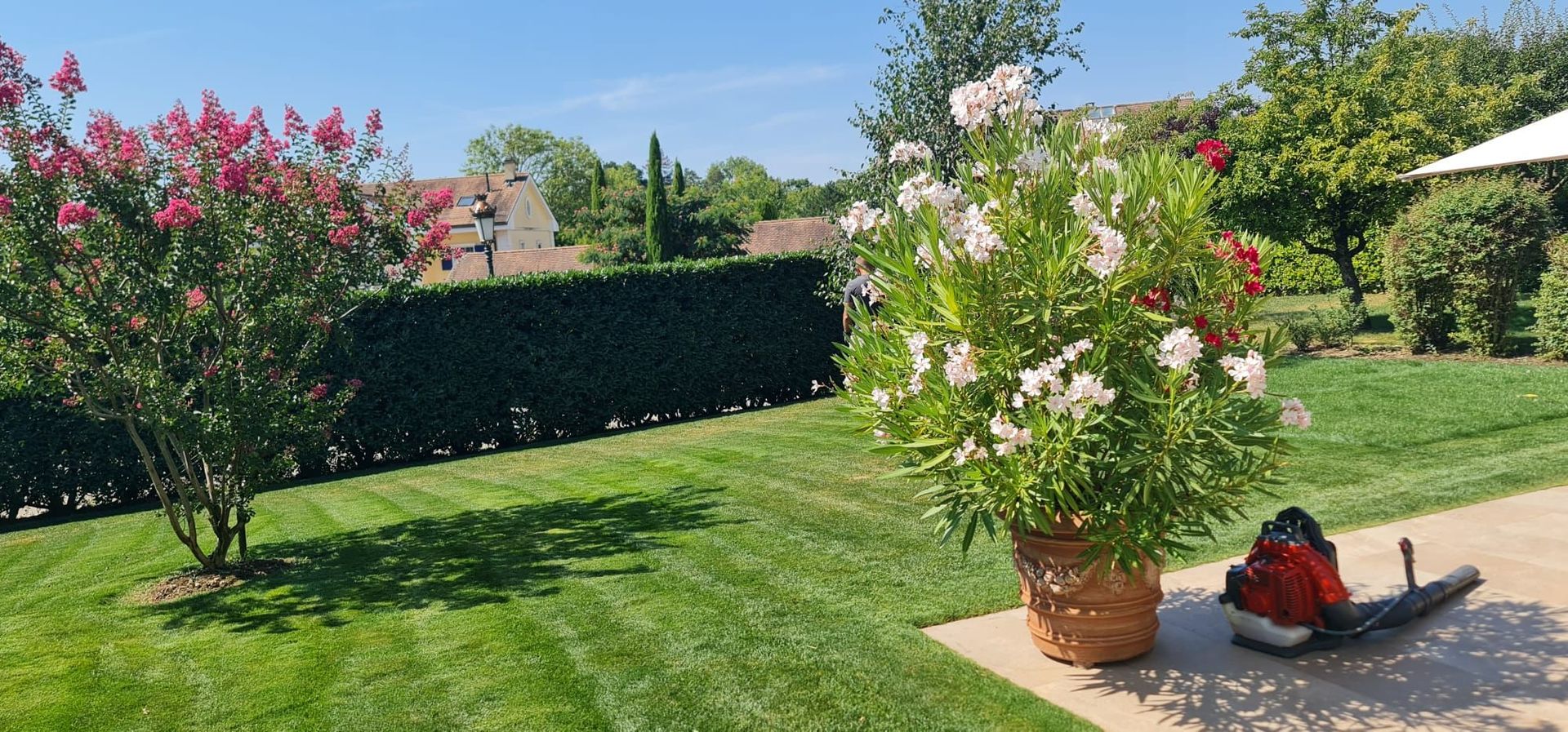 FF Jardins Sàrl - Jardinage, paysagisme - Gland