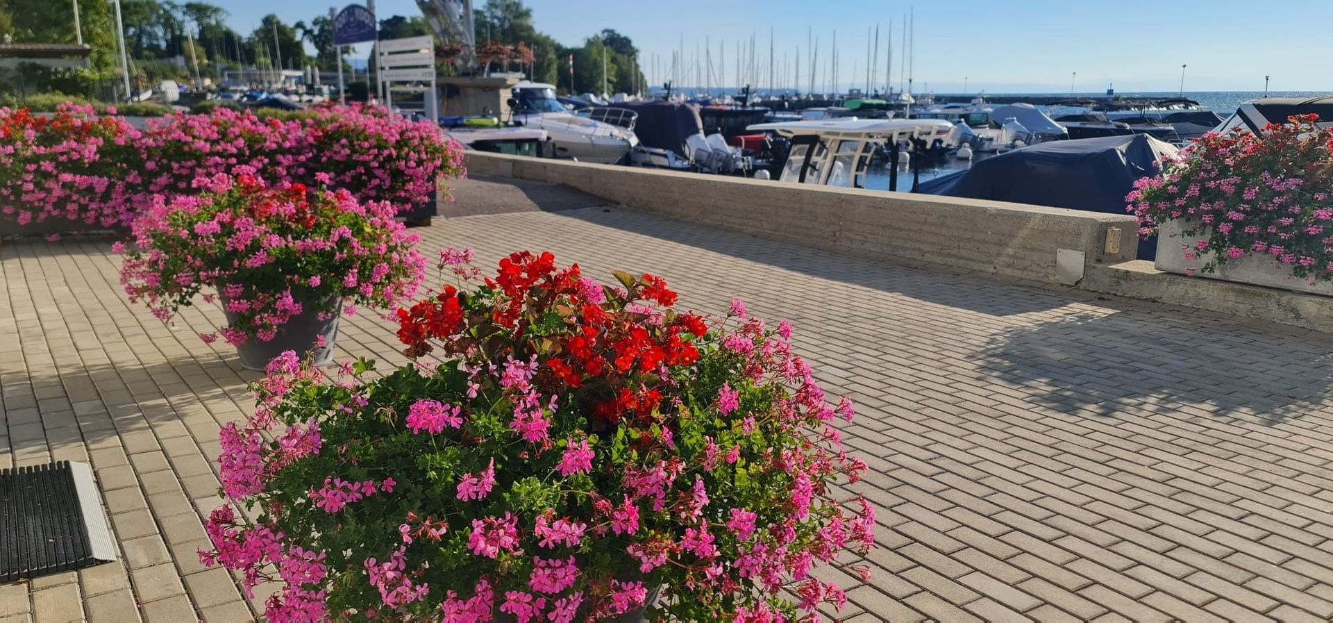 FF Jardins Sàrl - Jardinage, paysagisme - Gland