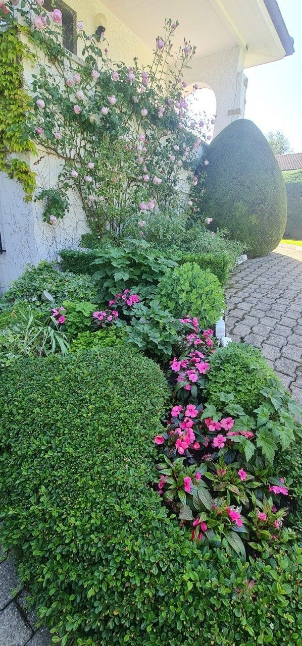 FF Jardins Sàrl - Jardinage, paysagisme - Gland