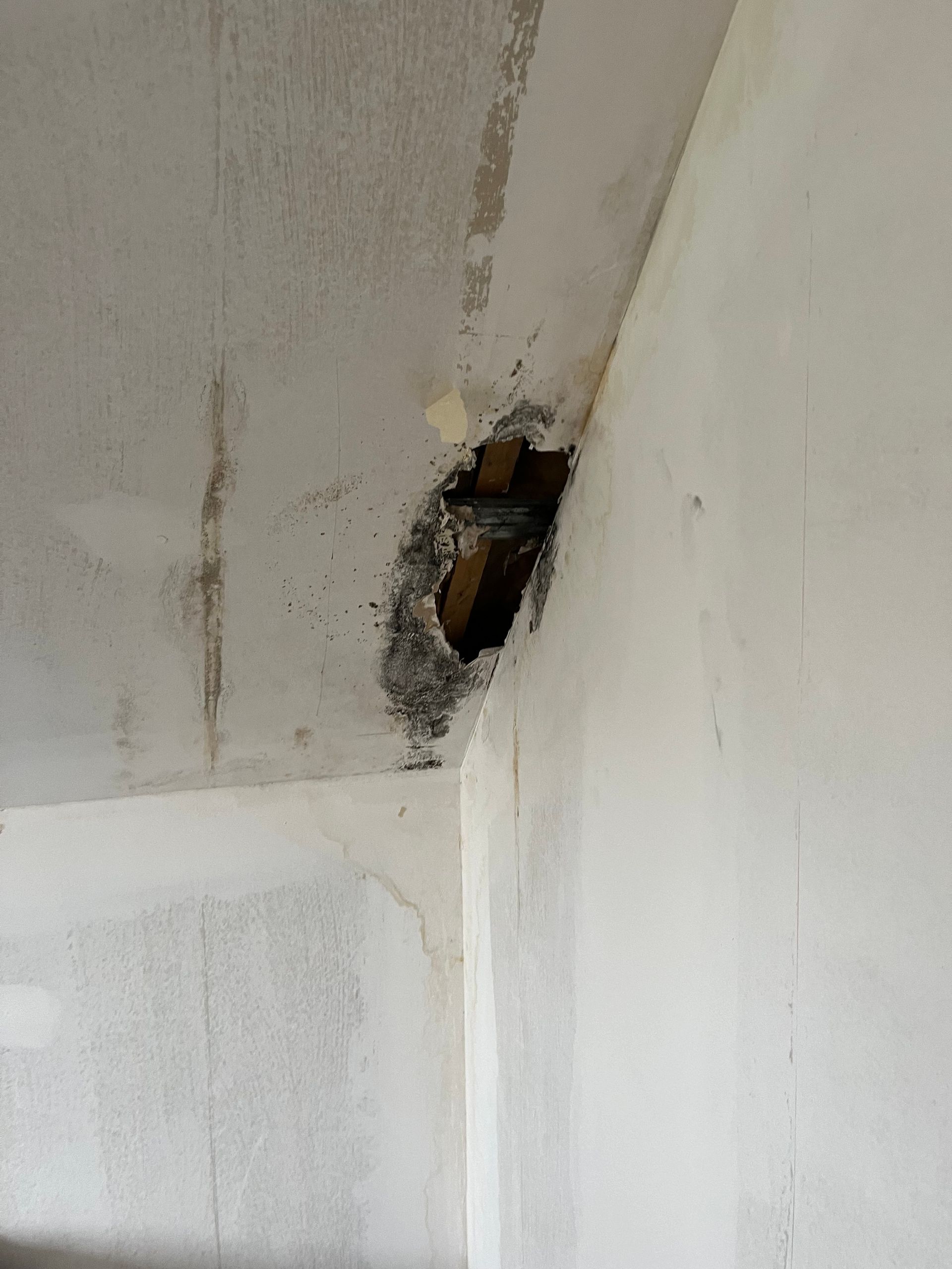 Un trou au plafond causé par l'humidité et la moisissure