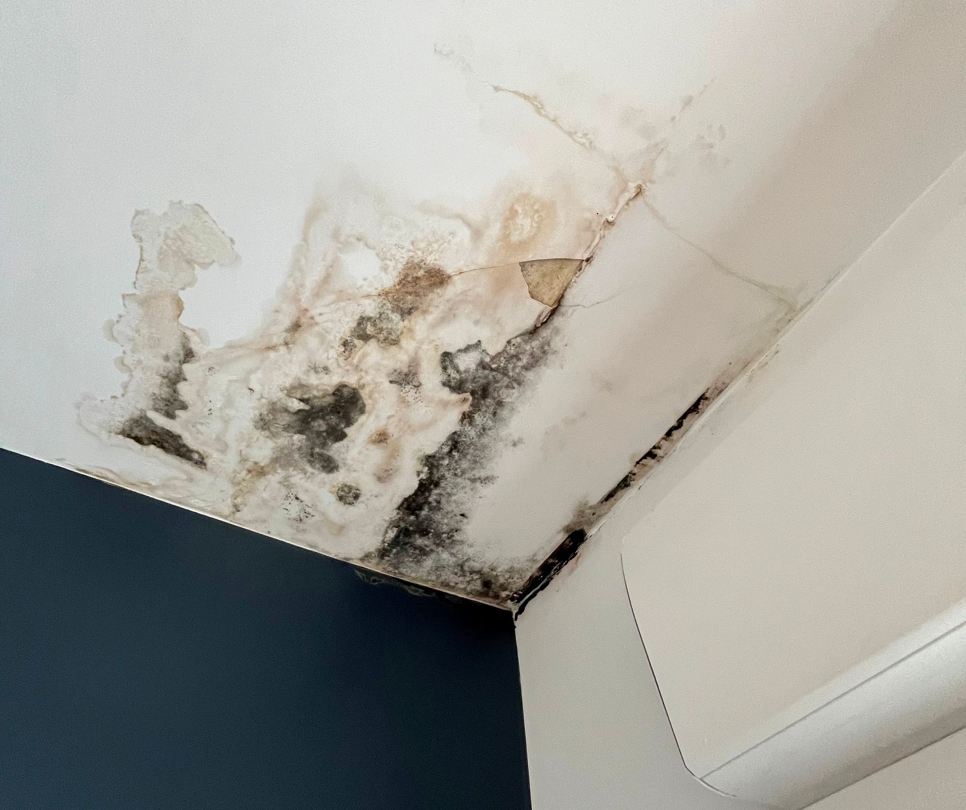 Une tache au plafond suite à un dégât des eaux