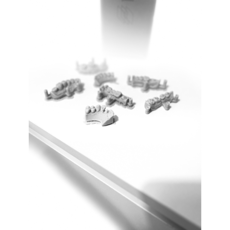 empreintes dentaires