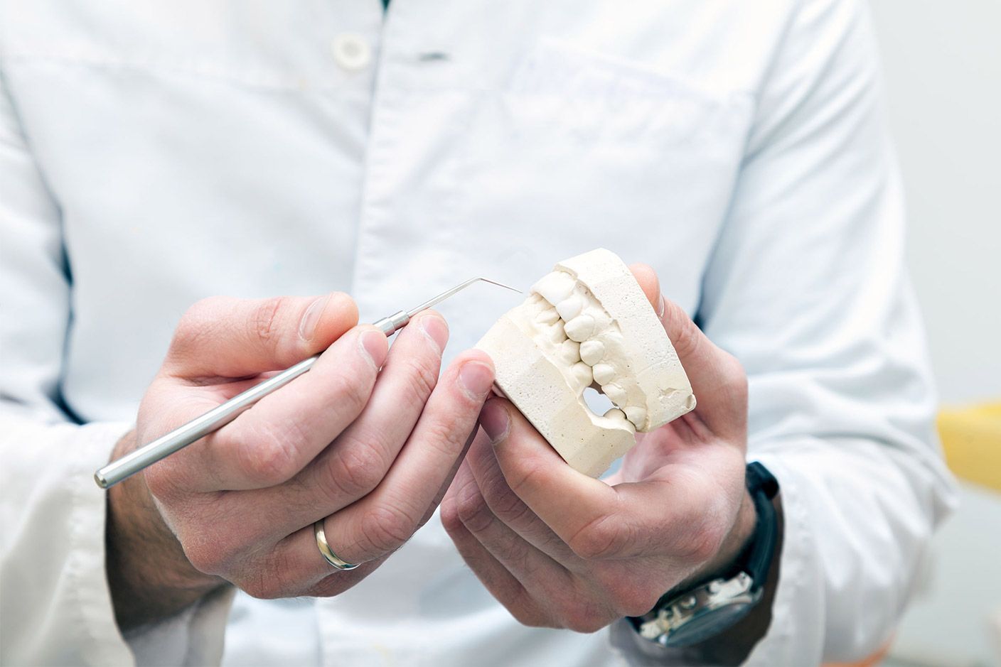 Un dentista sostiene un modelo de dientes en sus manos.