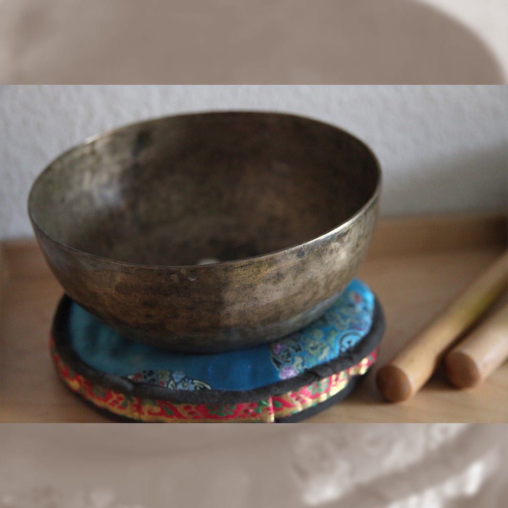 Schale in der Praxis von Zander Marc Physioteam Zander