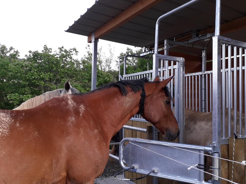 Un distributeur de granulés avec gestion informatisée