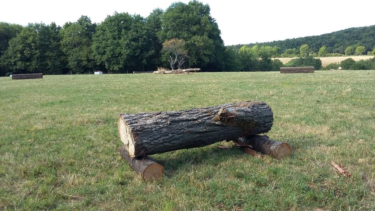 Des installations pour l'équitation