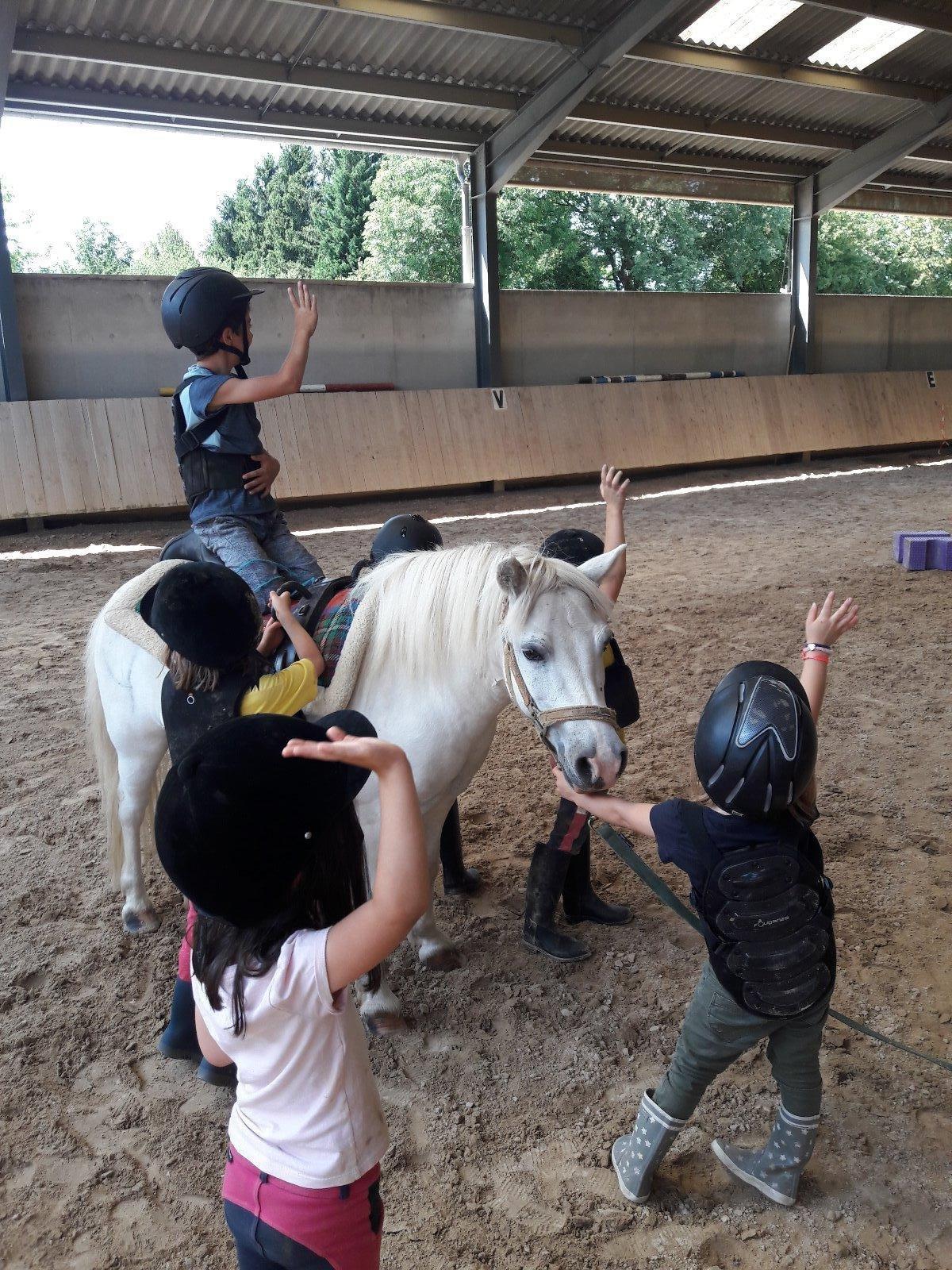 Cours et stages d'équitation